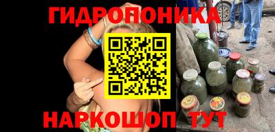 гидра Гусиноозёрск