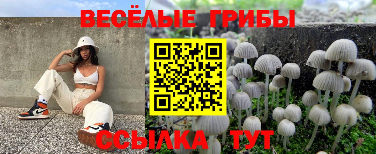 Мценск  что такое наркотик  Вход с VPN  Псилоцибиновые грибы Cubensis 